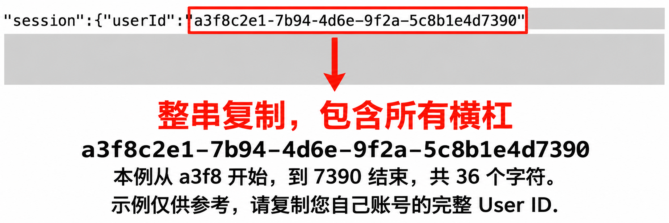 Grok session 页面中 userId 字段的复制位置示意